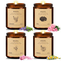 The M & M Signature |House Candle — Intense Amber Collection